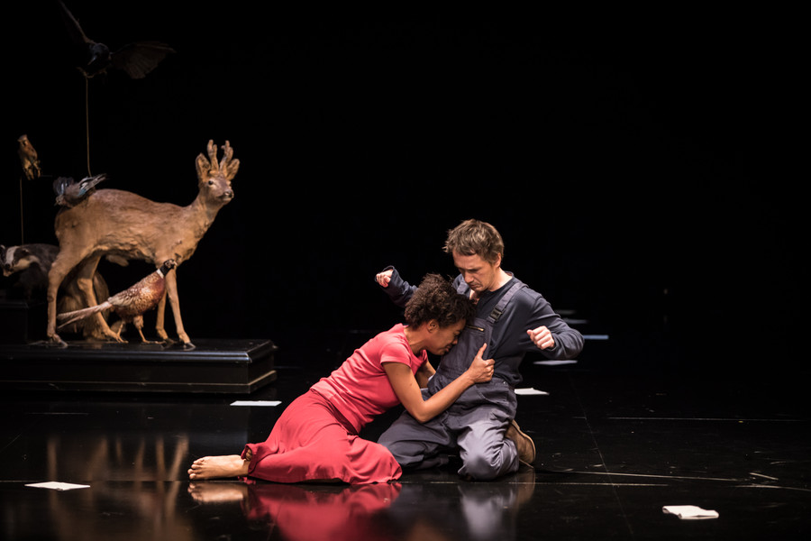Theatre De La Pepiniere Comme Il Vous Plaira Saison 2017-2018 | Théâtre | Comme il vous plaira